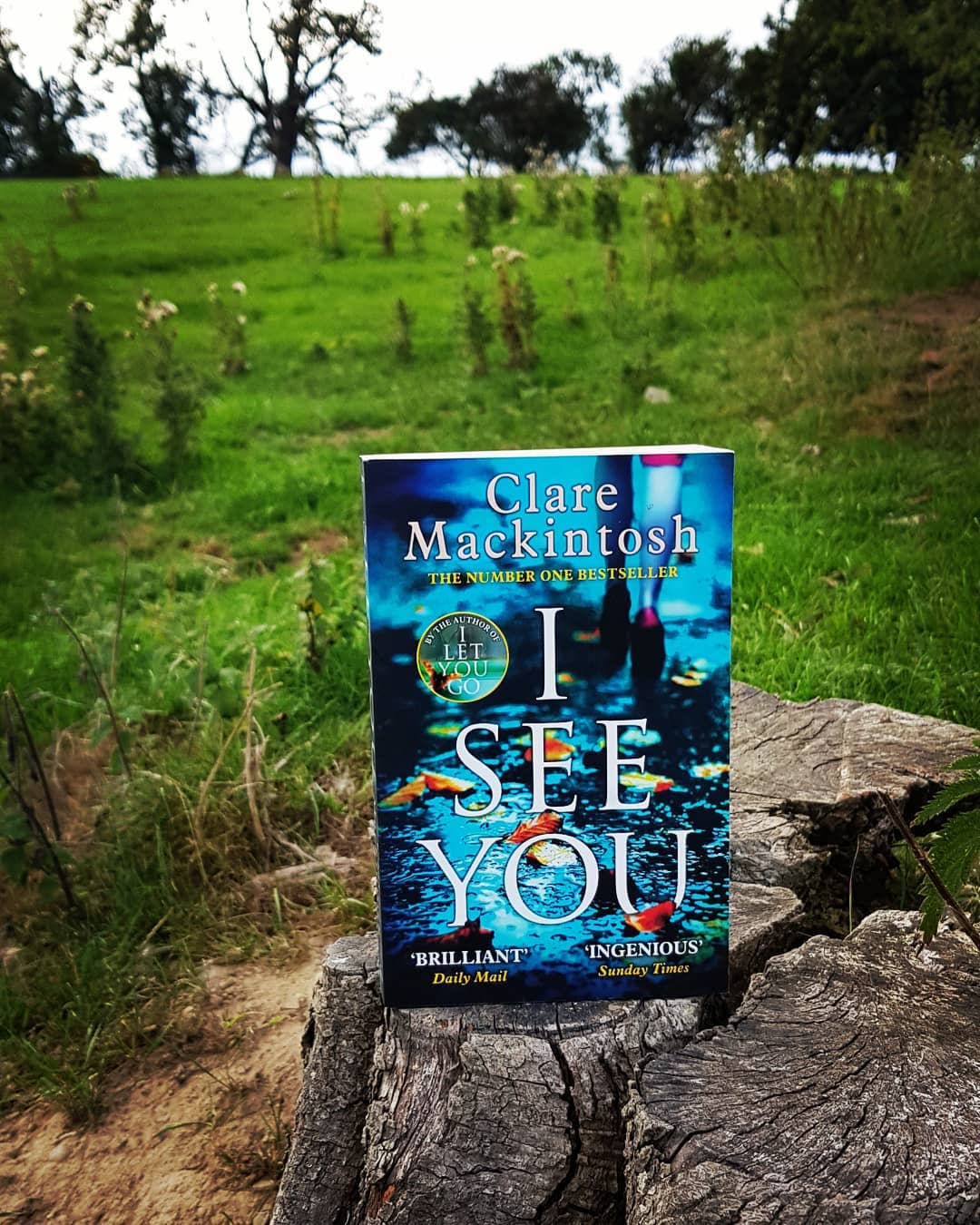 Book Review I See You by Clare Mackintosh Books Kat Likes