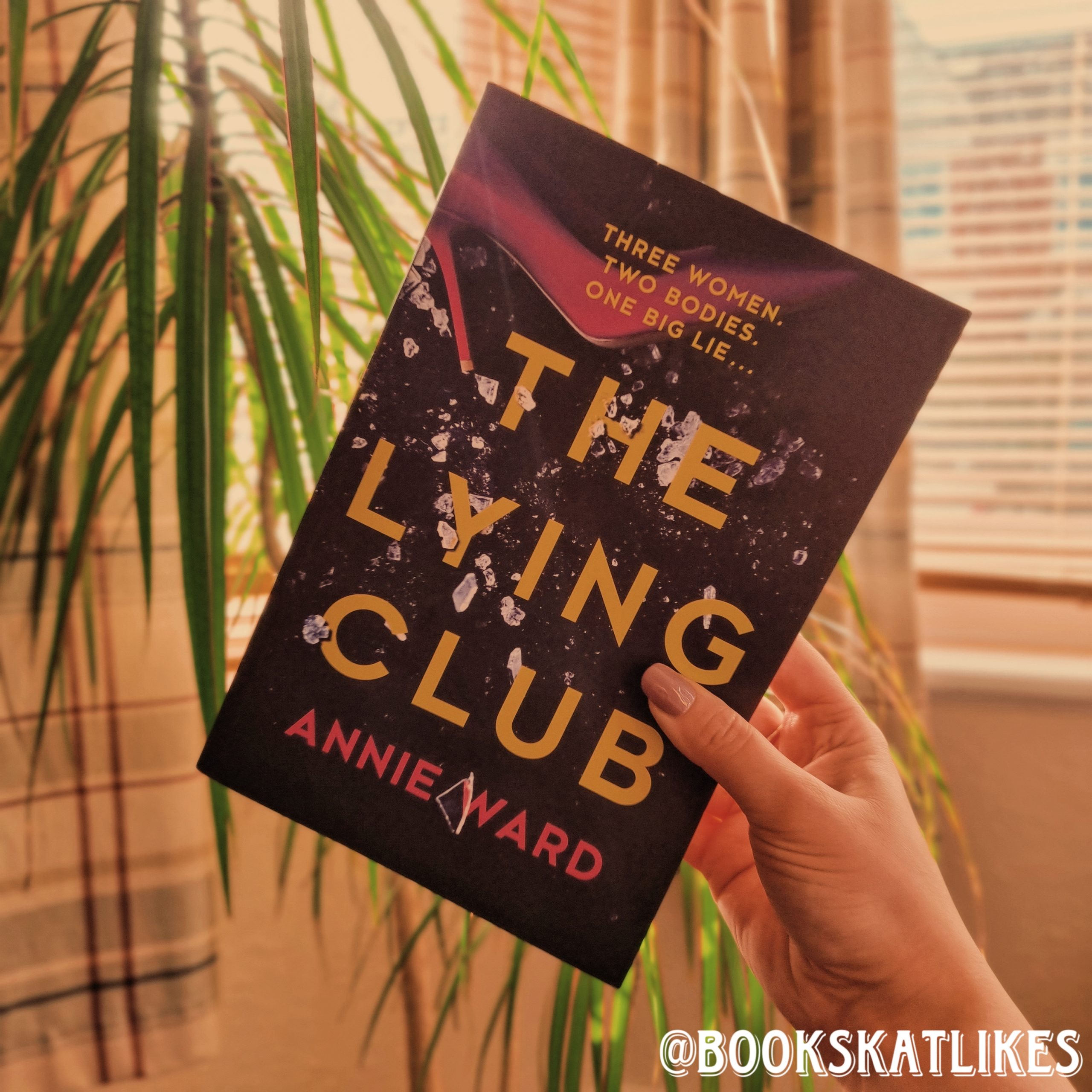 the lying club book review